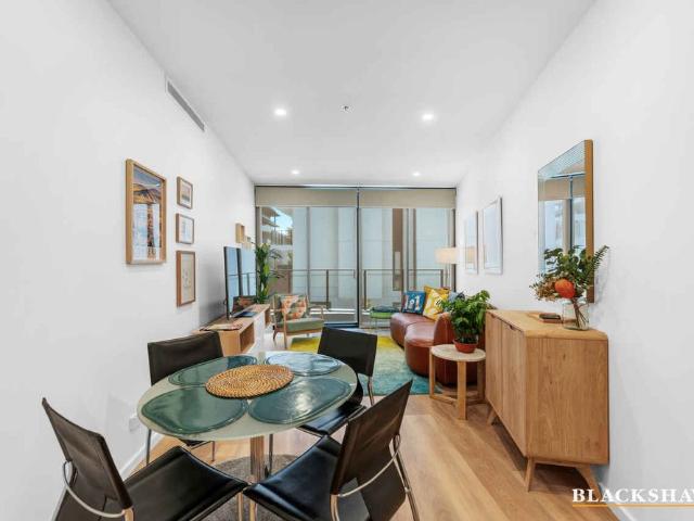 Stylish fully furnished apartment