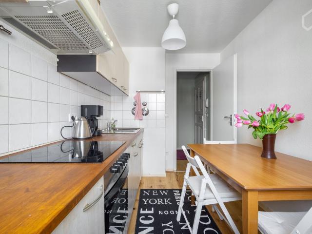 Stylish, fully renovated 2 room apartment with fitted kitchen in Dresden Neustadt, Dresden Amsterdam Apartments for Rent
