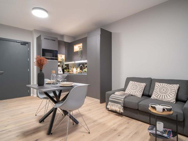 Stylish Furnished Apartment in the center of Bern, Bern Amsterdam Apartments for Rent