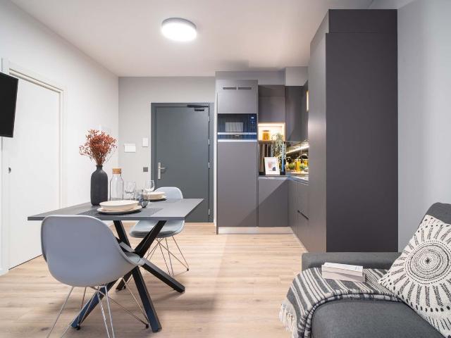 Stylish Furnished Apartment in the center of Bern, Bern Amsterdam Apartments for Rent