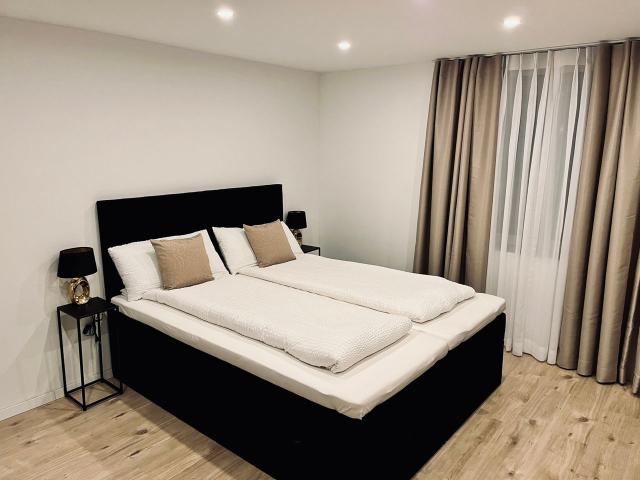 Stylish Furnished Apartment in the Heart of the Old Town Stilvoll möblierte Wohnung im Herzen der Altstadt, Dusseldorf Amsterdam Apartments for Rent