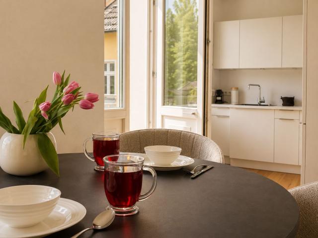 Stylish furnished apartment with balcony near the water, Berlin Amsterdam Apartments for Rent