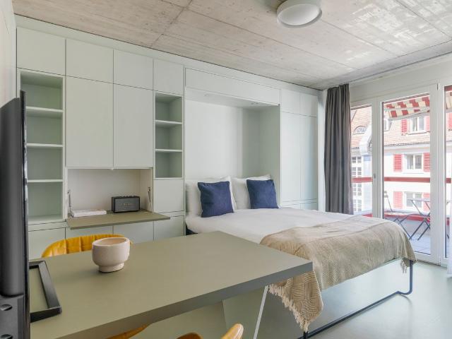 Stylish Furnished Studio Apartment in Oerlikon, Zurich Amsterdam Apartments for Rent