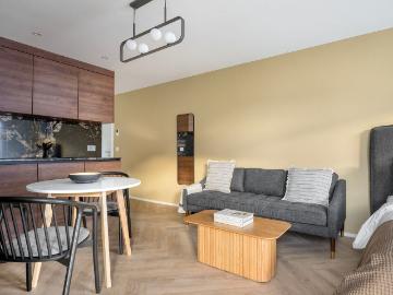Stylish Furnished Studio in Friesenberg, Zurich Amsterdam Apartments for Rent