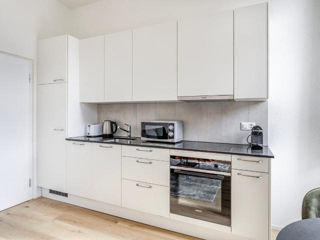 Stylish Furnished Studio in Seebach, Zurich Amsterdam Apartments for Rent