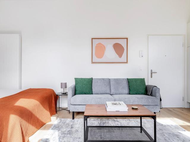 Stylish Furnished Studio in Seebach, Zurich Amsterdam Apartments for Rent
