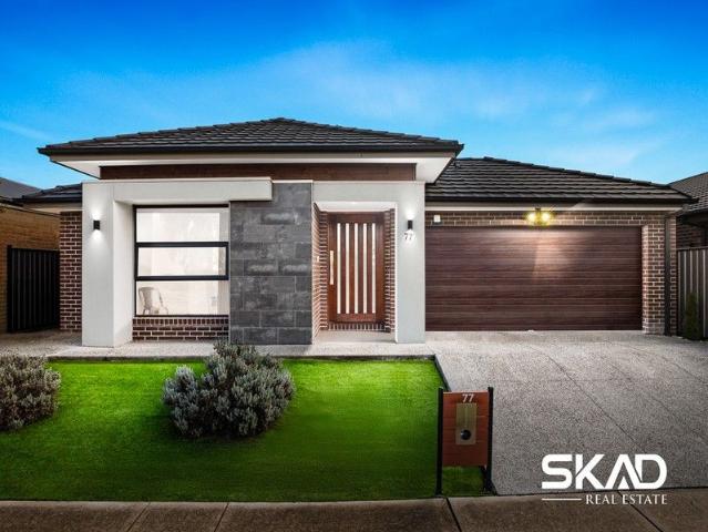 Stylish Family Home on 458sqm with Dual Kitchens & Solar Efficiency