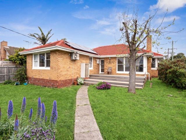 Stylish Family Home in a Sought After Highton Pocket