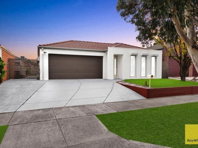 Stylish Family Living in a Prime Burnside Heights Location