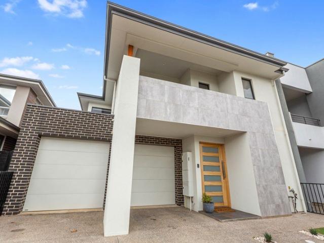 Stylish Family Living in Lightsview