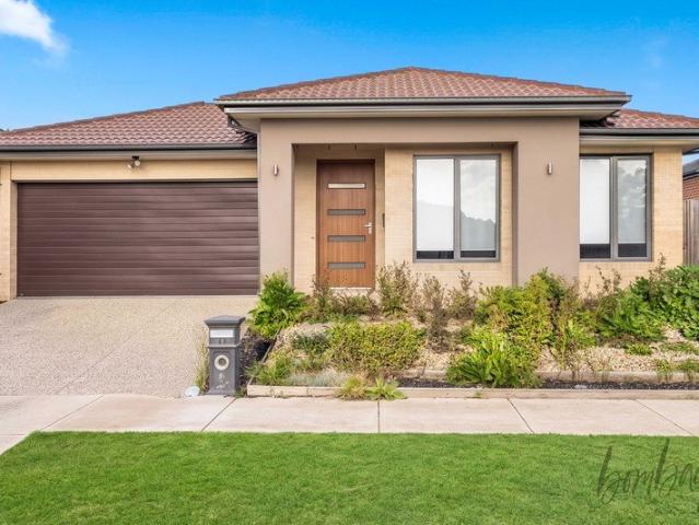 Stylish Family Living in the Heart of Donnybrook