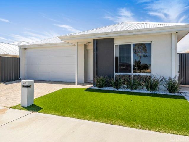Stylish family living with a statement kitchen, sparkling pool & effortless entertaining