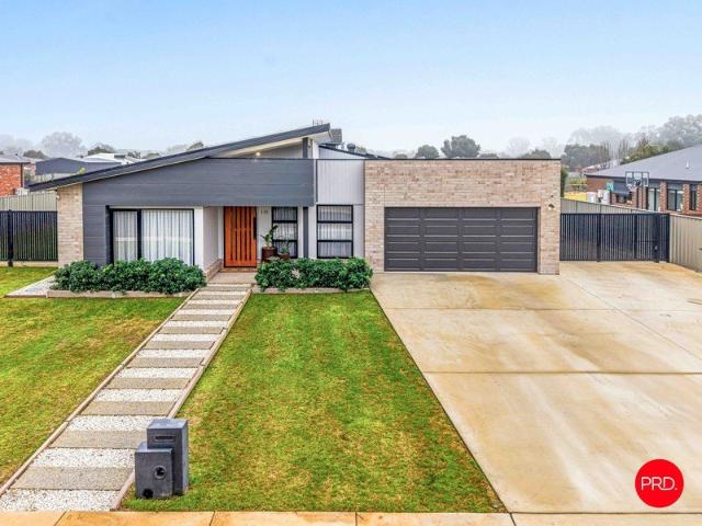 Stylish Family Living with Exceptional Shedding