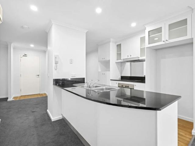 Stylish Inner North Living with Leafy Views
