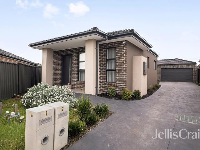 Stylish, Light Filled and Low Maintenance
