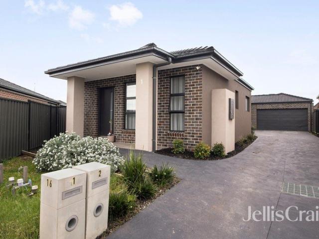 Stylish, Light Filled and Low Maintenance