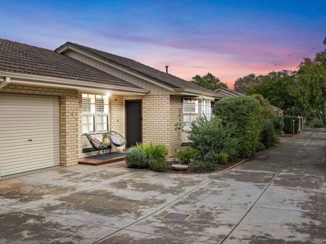Stylish, Light Filled Living in a Picturesque, Tree Lined Setting