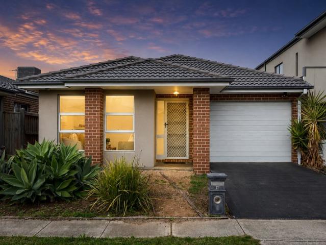 Stylish, Light Filled Living with Effortless Family Appeal