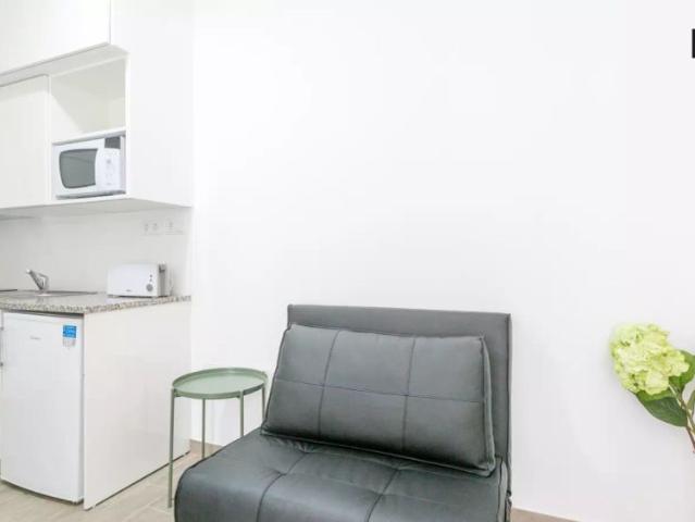 Stylish studio apartment for rent in Arroios