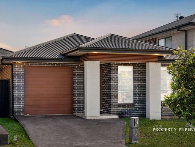 Stylish Single Level Living | Prime Schofields Location | Investment Ready