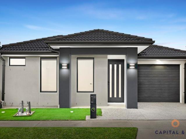 Stylish, Spacious & Move In Ready Family Home