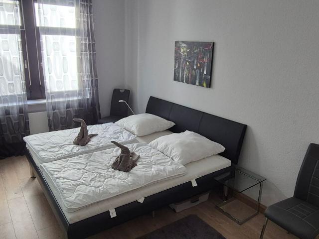 Stylish & Spacious Apartment in the Heart of Kaiserslautern, Kaiserslautern Amsterdam Apartments for Rent