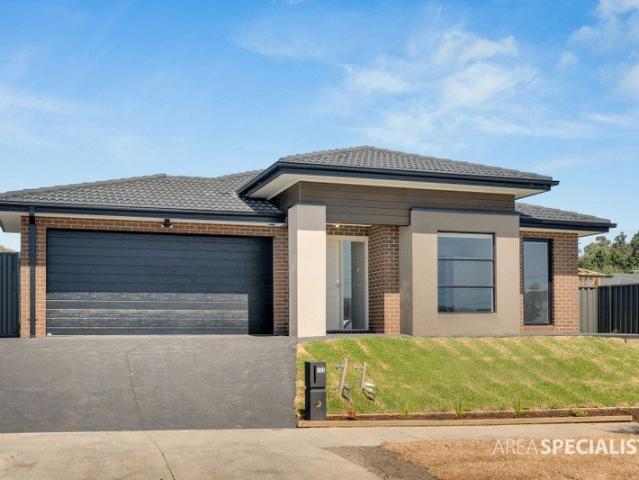 Stylish & Spacious Family Living in Pakenham