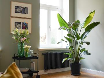 Stylish und zentral | Rudergerät | Parkplatz, Leipzig Amsterdam Apartments for Rent