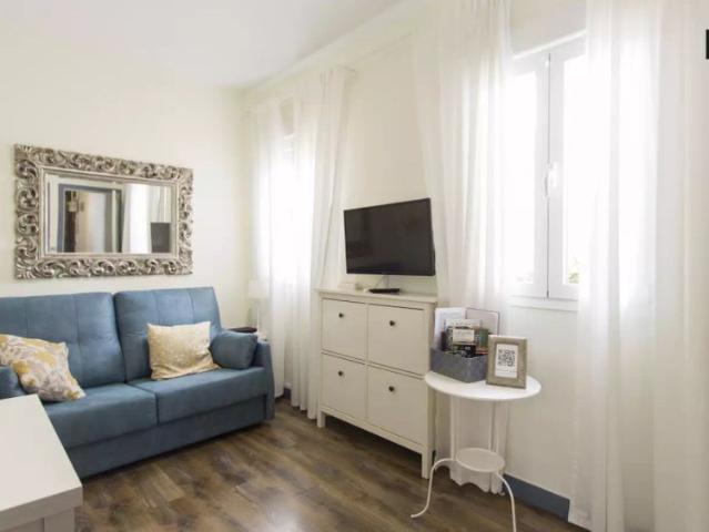 Stylish 1 bedroom apartment for rent in Lavapiés