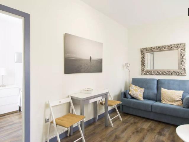 Stylish 1 bedroom apartment for rent in Lavapiés