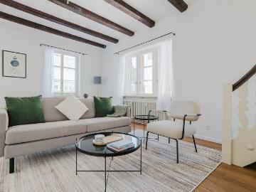 Stylish 1 Bedroom Apartment in Basel Vorstaedte, Basel Amsterdam Apartments for Rent