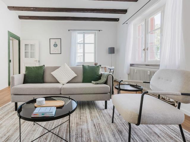Stylish 1 Bedroom Apartment in Basel Vorstaedte, Basel Amsterdam Apartments for Rent