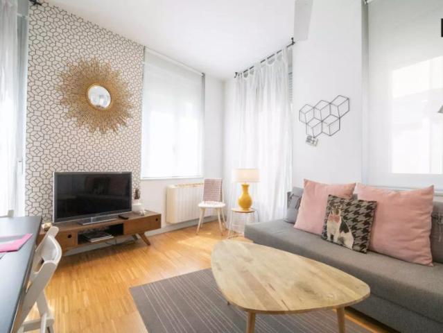 Stylish 1 bedroom apartment with balcony and AC for rent near Metro in Madrid Centro