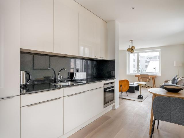 Stylish 1 Bedroom Apartment with City Views in Sihlfeld, Zurich Amsterdam Apartments for Rent