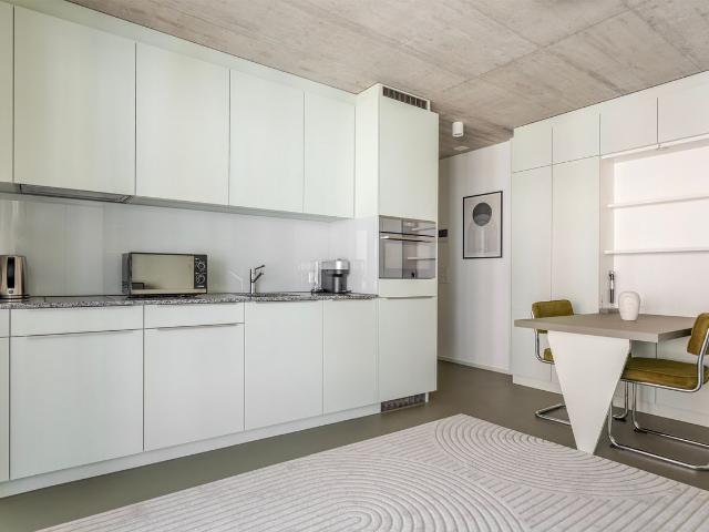 Stylish 1 Bedroom Furnished Apartment in Oerlikon, Zurich Amsterdam Apartments for Rent