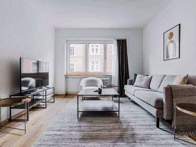 Stylish 1 Bedroom Furnished Apartment in Basel Matthäus, Basel Amsterdam Apartments for Rent