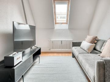 Stylish 1 Bedroom Furnished Apartment in Basel Vorstaedte, Basel Amsterdam Apartments for Rent