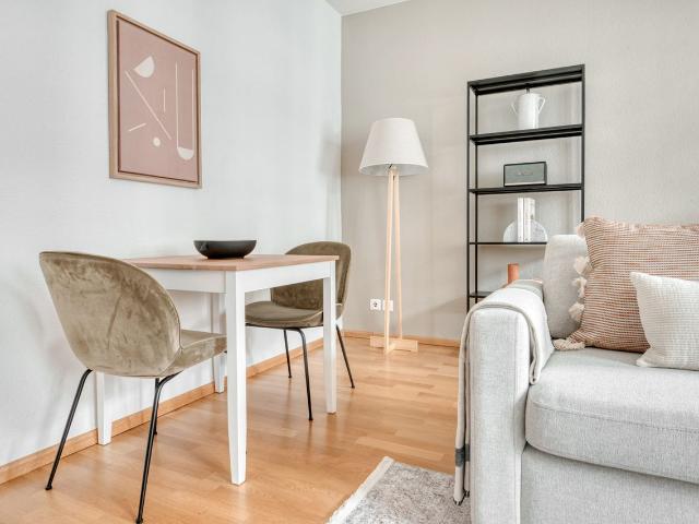 Stylish 1 Bedroom Furnished Apartment in Basel Vorstaedte, Basel Amsterdam Apartments for Rent
