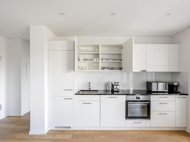Stylish 1 Bedroom Furnished Apartment in Basel Vorstaedte, Basel Amsterdam Apartments for Rent