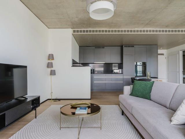 Stylish 1 Bedroom Furnished Apartment in Seebach, Zurich Amsterdam Apartments for Rent