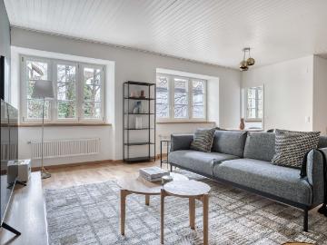 Stylish 1 Bedroom Furnished Apartment in Zurich Town Hall, Zurich Amsterdam Apartments for Rent