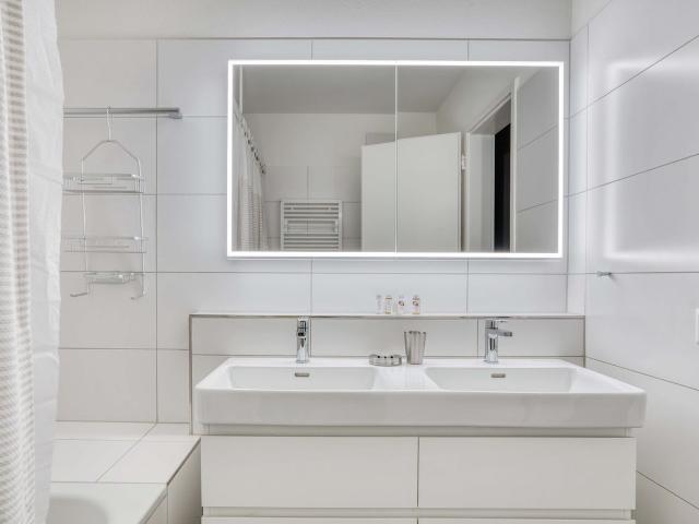 Stylish 1 Bedroom Furnished Apartment in Zurich Town Hall, Zurich Amsterdam Apartments for Rent