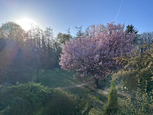 STYLISH 2 BEDROOM APARTMENT ON A PARK LIKE PROPERTY IN MUNICH SOLLN