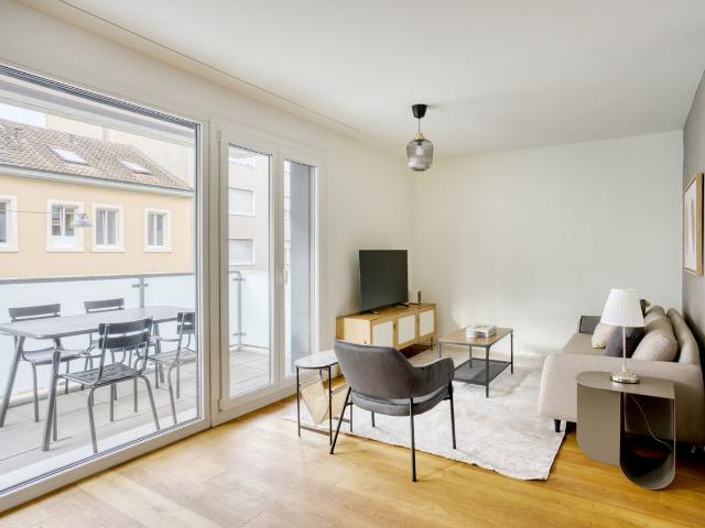 Stylish 2 Bedroom Furnished Apartment in Basel Matthäus, Basel Amsterdam Apartments for Rent