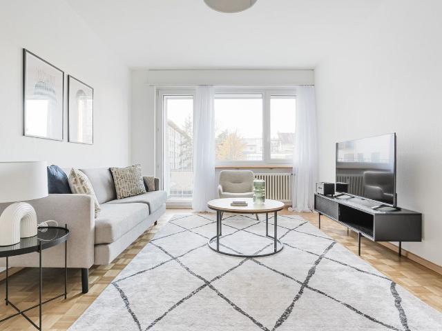 Stylish 2 Bedroom Furnished Apartment in Gundeldingen, Basel Amsterdam Apartments for Rent