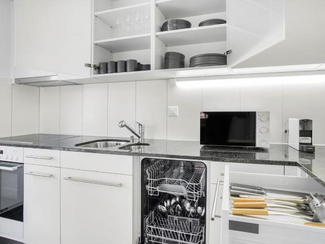 Stylish 2 Bedroom Furnished Apartment in Wollishofen, Zurich Amsterdam Apartments for Rent
