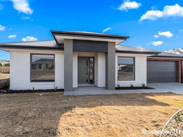 Stylish 4 Bedroom Home in Beautiful Gisborne!