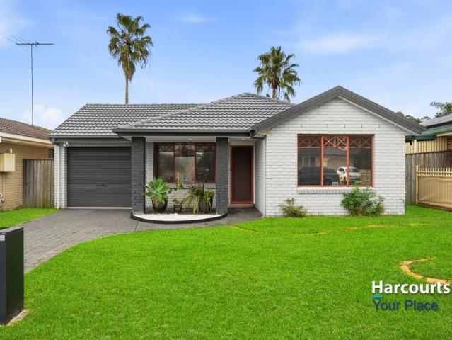 Stylishly Renovated Family Home with Study & Outdoor Entertaining