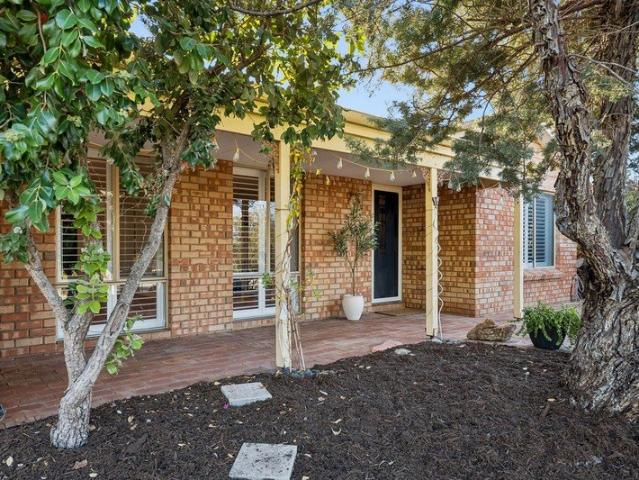 Stylishly Renovated Family Living with Resort Style Entertaining