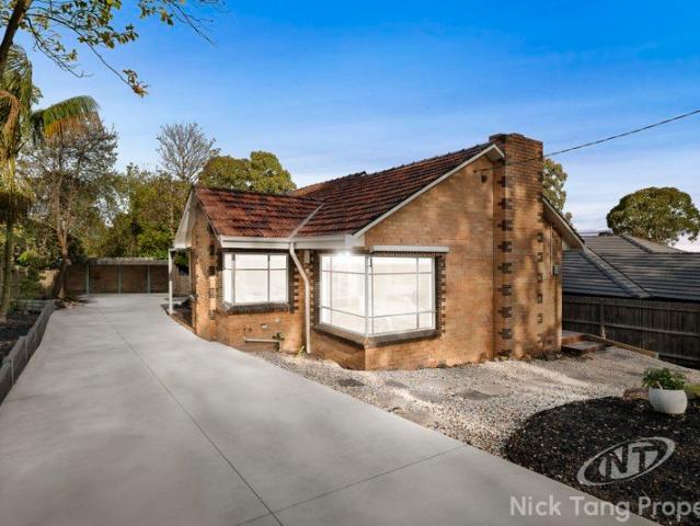 Stylishly Renovated Home on 705sqm in the Coveted Rangeview Primary & Vermont Secondary College Zones